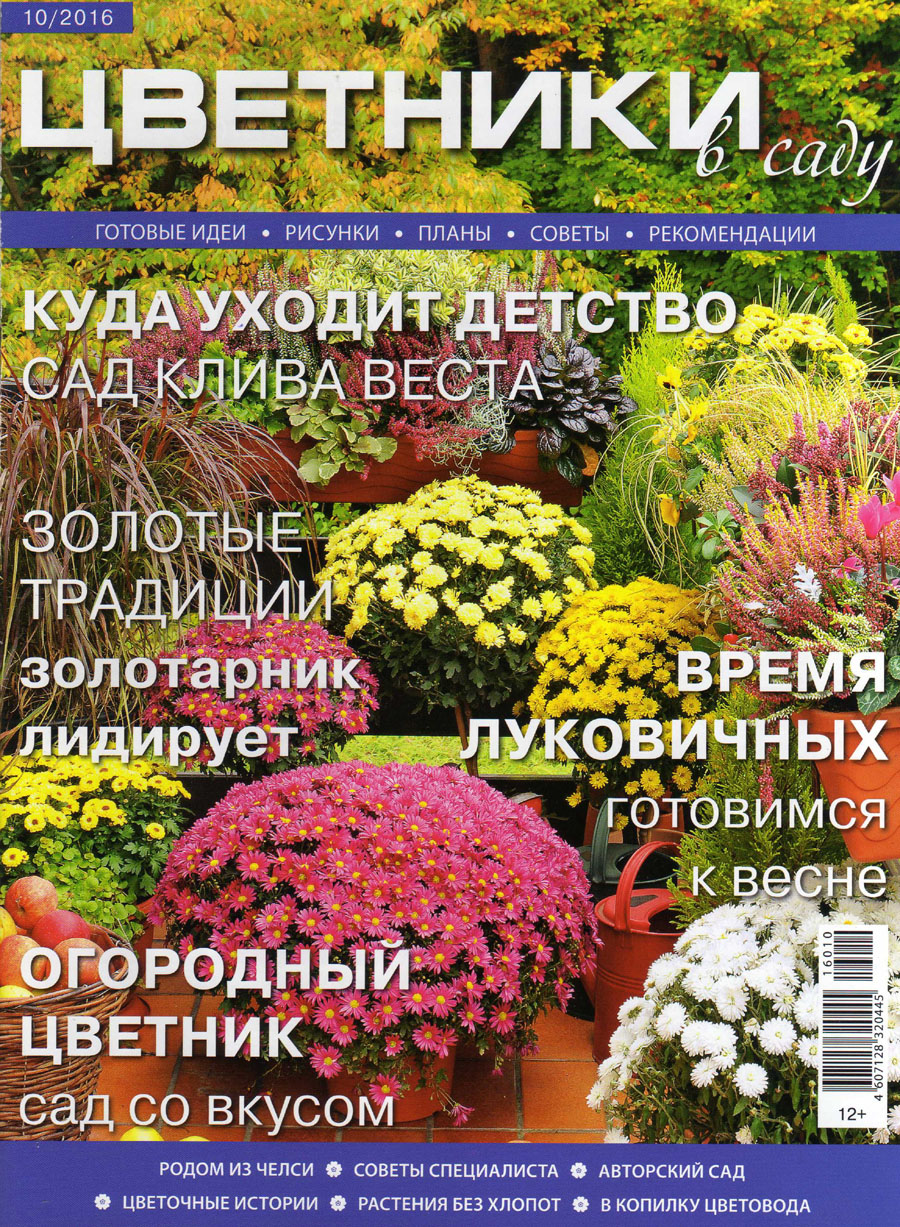 Флокс. Phlox. Флоксы Треспе.