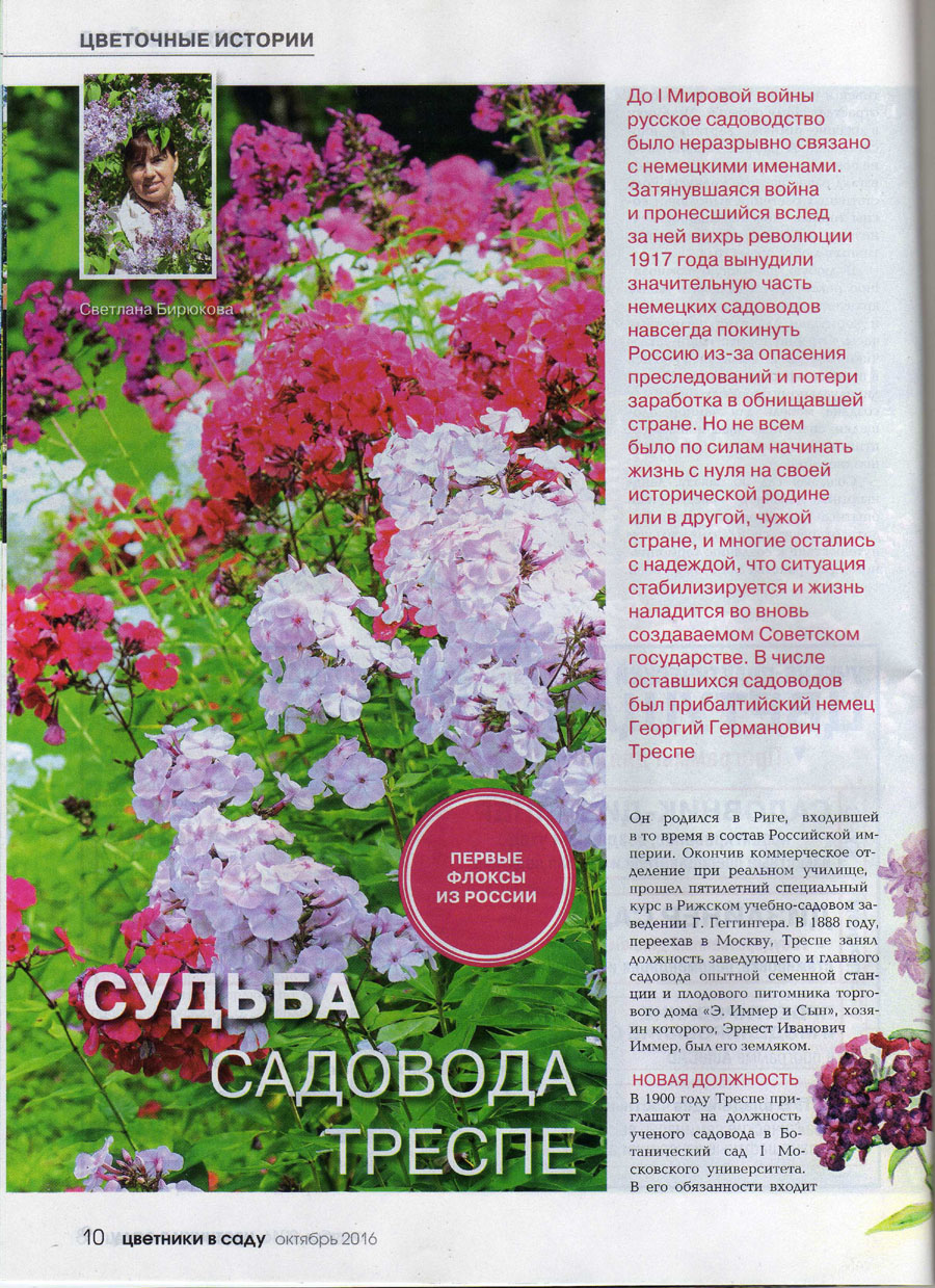 Флокс. Phlox. Флоксы Треспе.